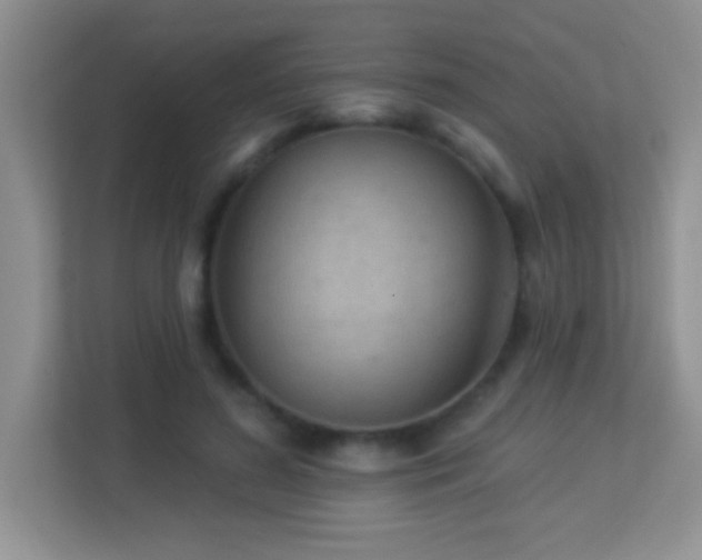 X0000113900596200909241439