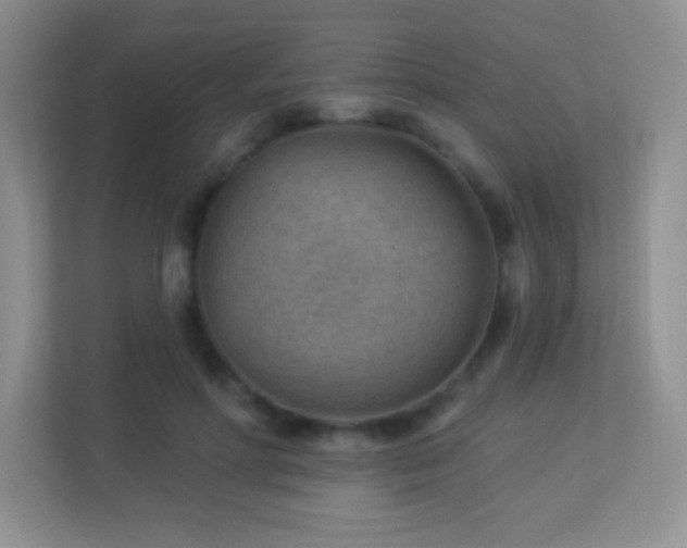 X0000113900598200909241439