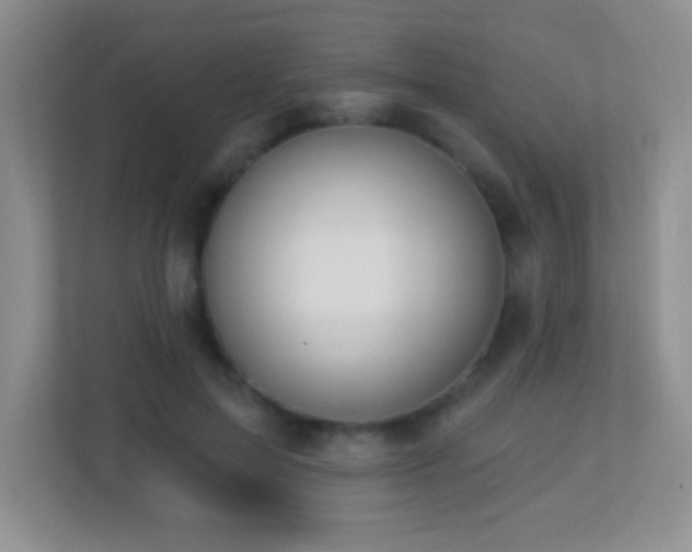 X0000113900599200909241439