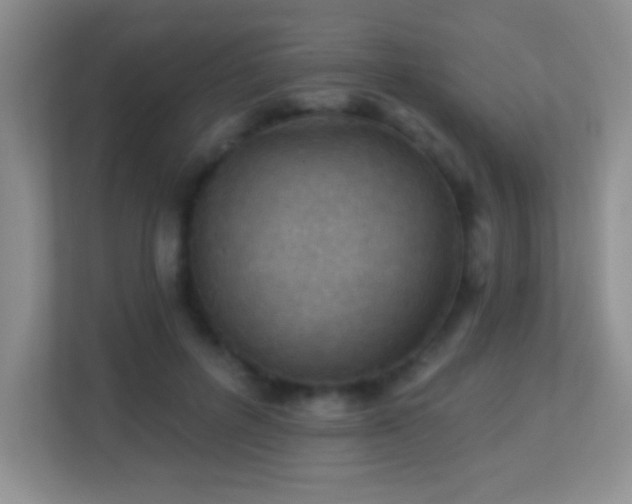 X0000113900600200909241439