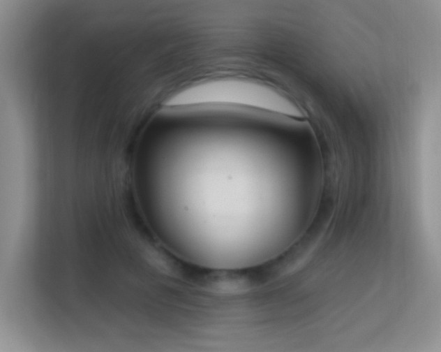 X0000113900601200909241439