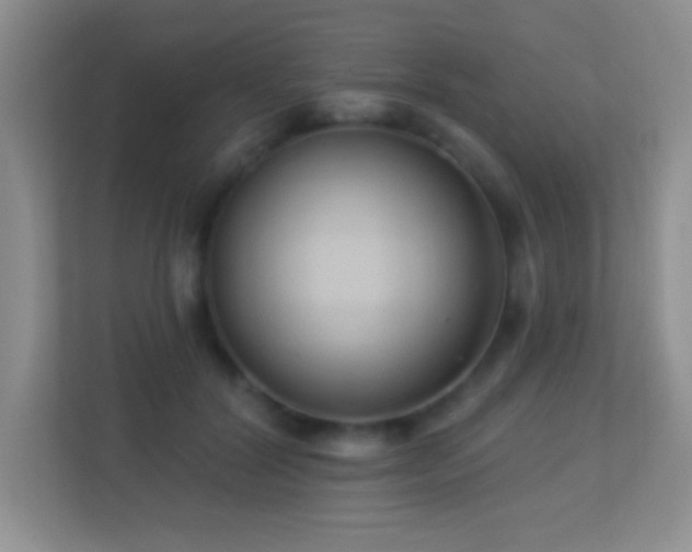 X0000113900604200909241439