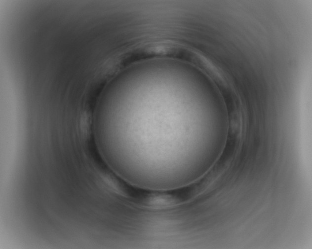 X0000113900605200909241439