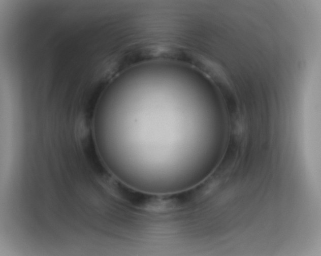 X0000113900607200909241439