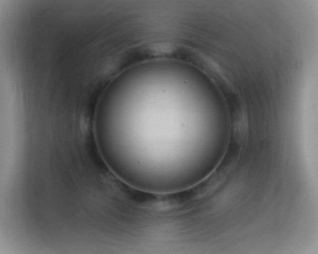 X0000113900608200909241439