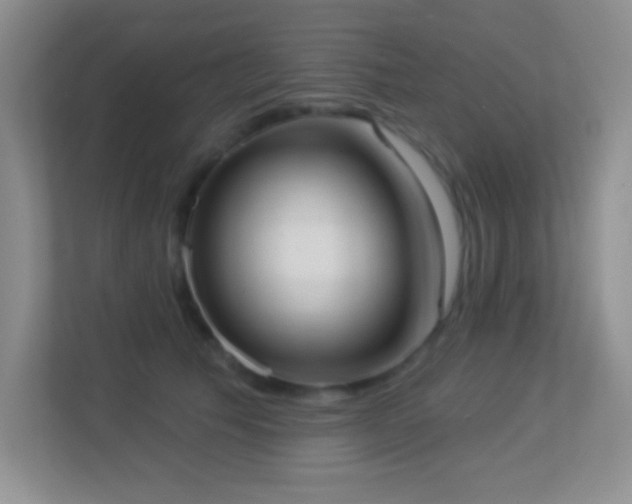 X0000113900609200909241439