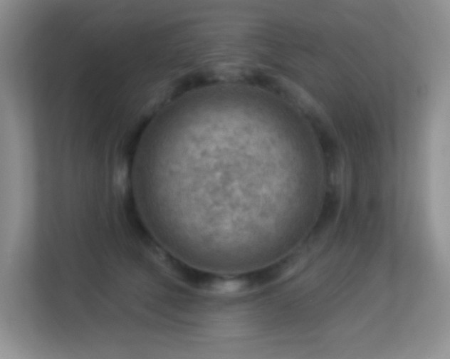 X0000113900610200909241439