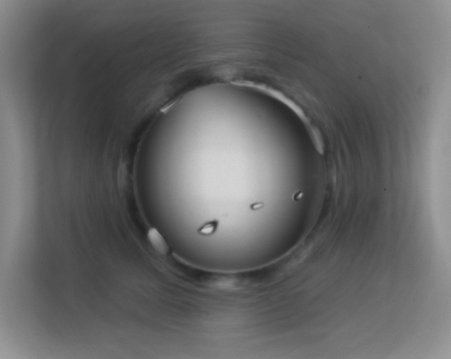 X0000113900611200909241439