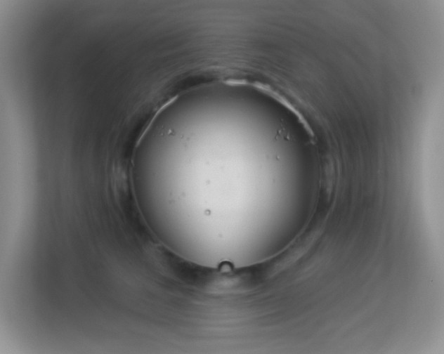X0000113900613200909241439