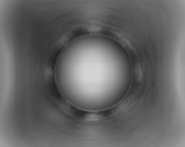 X0000113900614200909241438