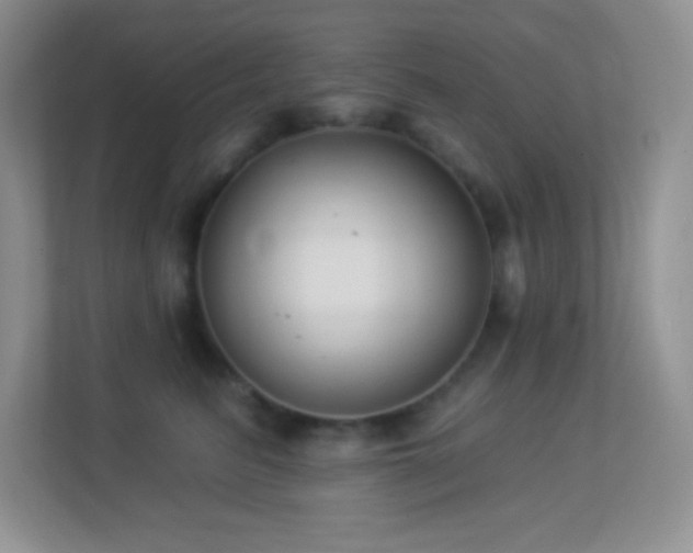 X0000113900615200909241438