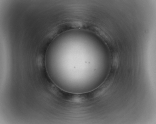 X0000113900616200909241438