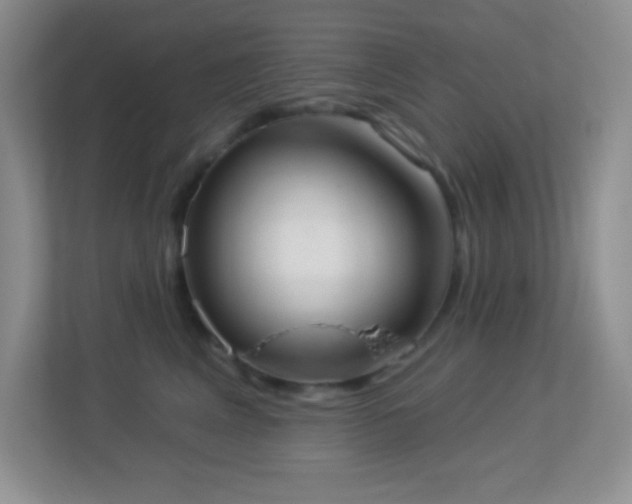 X0000113900617200909241438