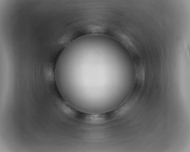 X0000113900622200909241438
