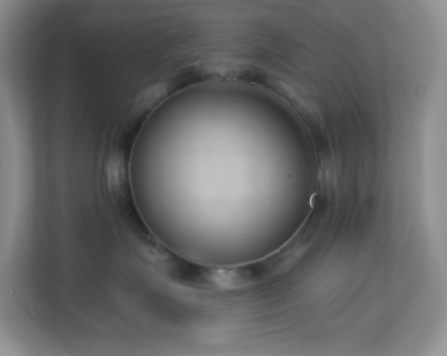 X0000113900623200909241438