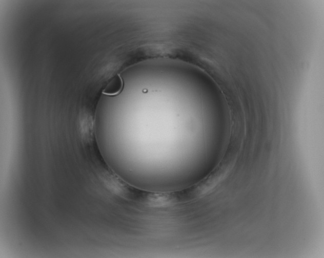 X0000113900624200909241438