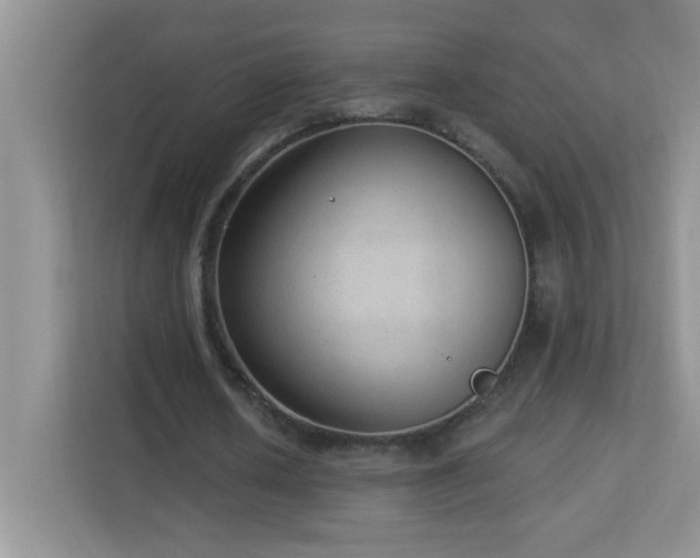 X0000113900626200909241438