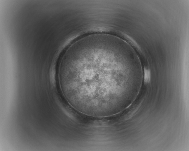 X0000113900627200909241438