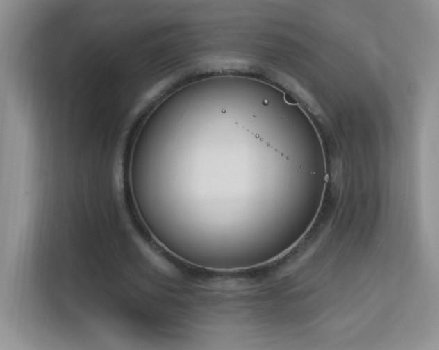 X0000113900629200909241438