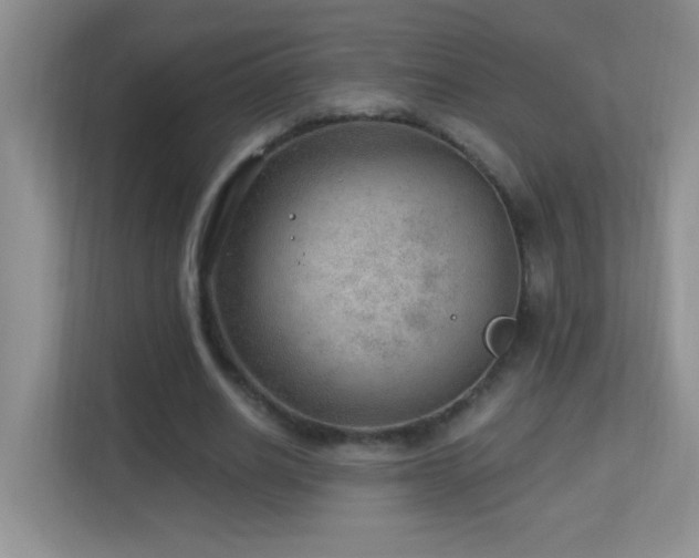 X0000113900630200909241438