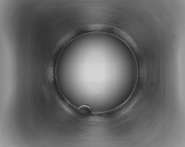X0000113900633200909241438