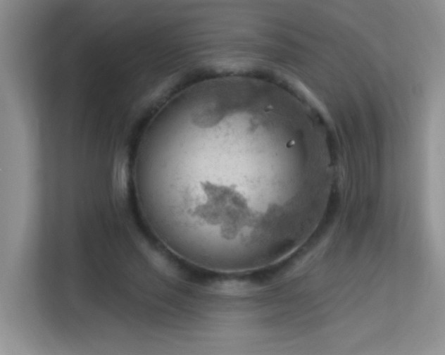 X0000113900637200909241438