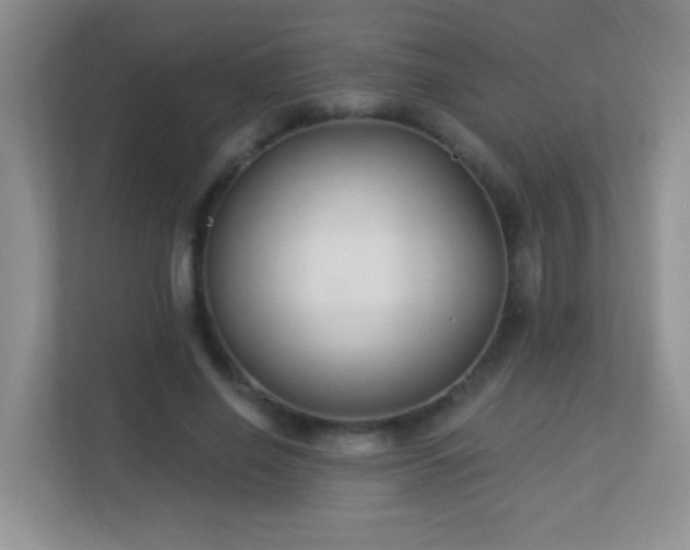 X0000113900638200909241438