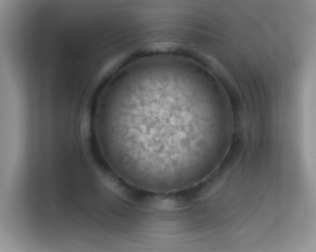 X0000113900640200909241438