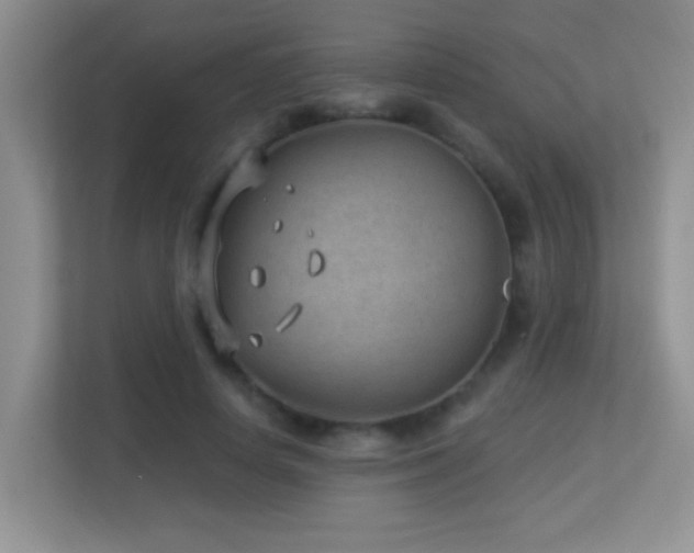 X0000113900642200909241438