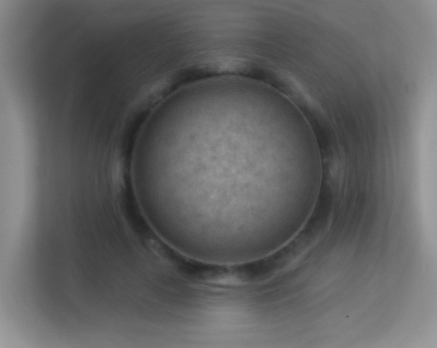 X0000113900643200909241438