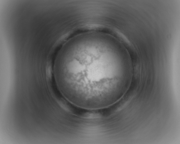 X0000113900644200909241438