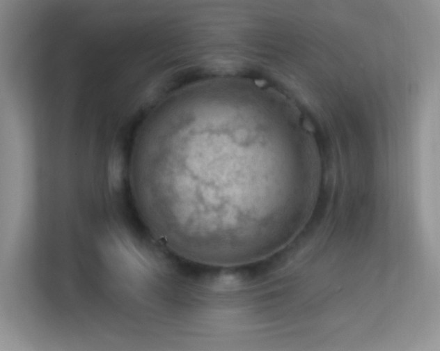 X0000113900647200909241438