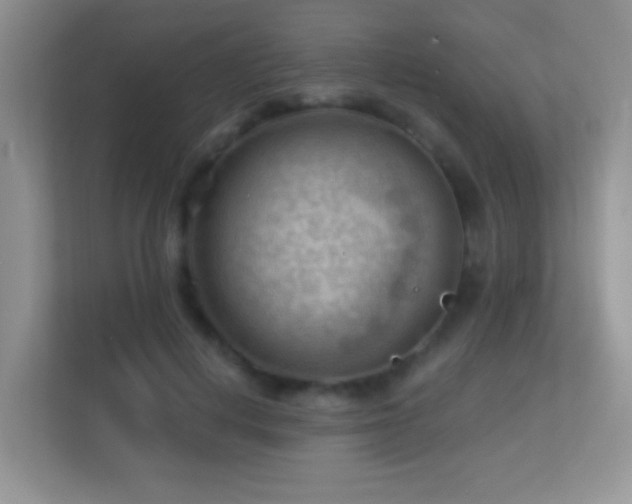 X0000113900648200909241438