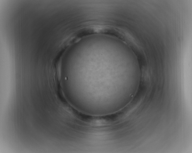 X0000113900650200909241438