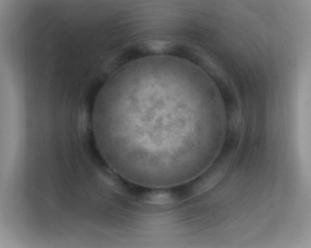 X0000113900651200909241438