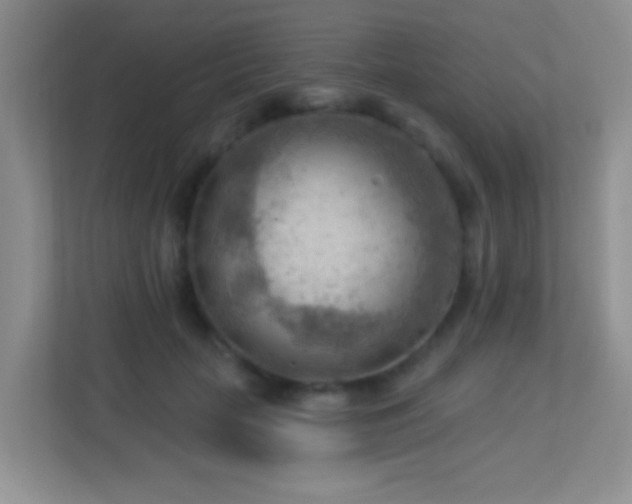 X0000113900653200909241438