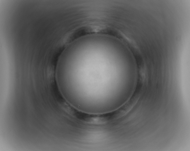 X0000113900657200909241438