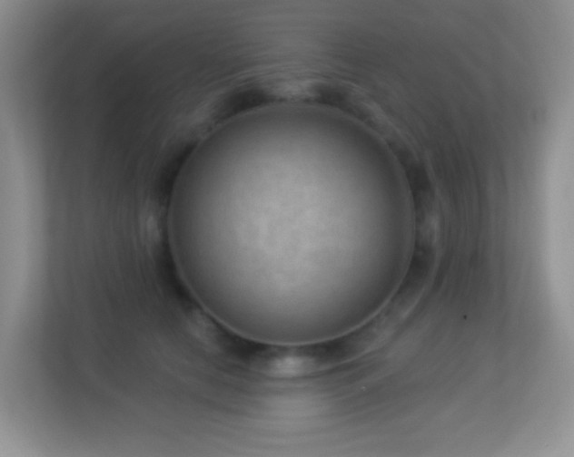 X0000113900658200909241438