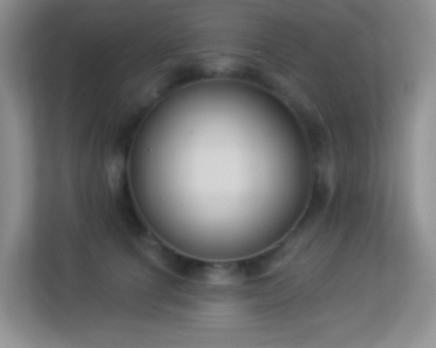 X0000113900660200909241438