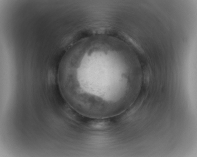 X0000113900661200909241438