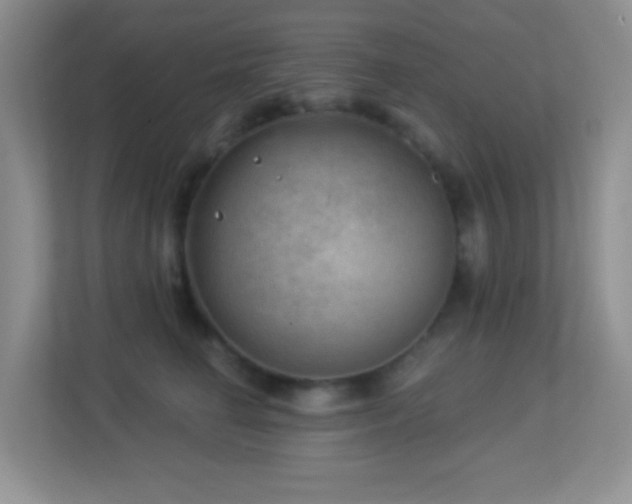 X0000113900662200909241438