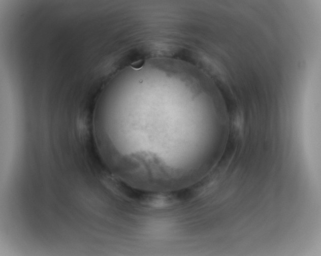 X0000113900663200909241438