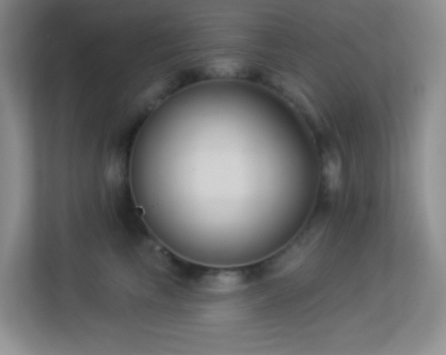 X0000113900665200909241438