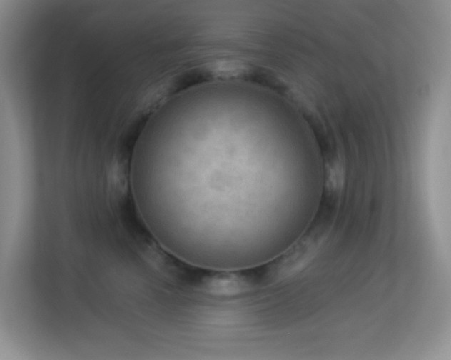 X0000113900666200909241438