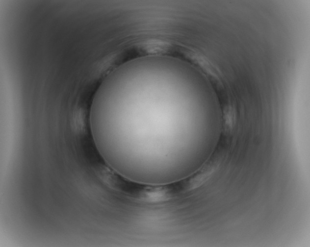 X0000113900667200909241438
