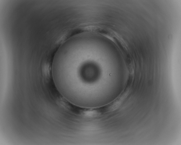 X0000113900669200909241438