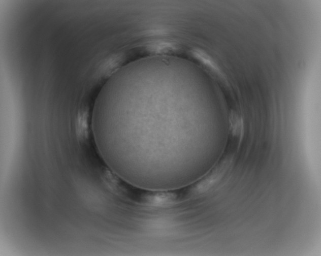 X0000113900670200909241438