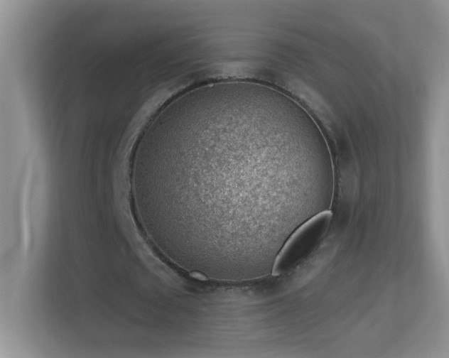 X0000113900673200909241438