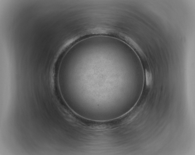 X0000113900675200909241438