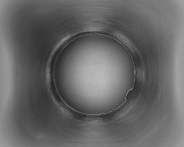 X0000113900676200909241438